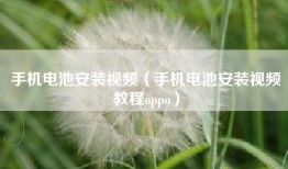 手机电池安装视频（手机电池安装视频教程oppo）