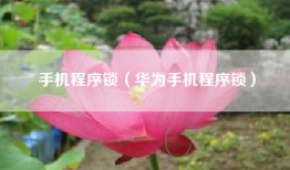 手机程序锁（华为手机程序锁）