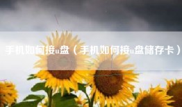 手机如何接u盘（手机如何接u盘储存卡）