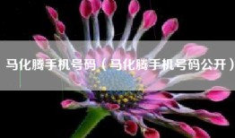 马化腾手机号码（马化腾手机号码公开）
