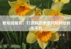 爱短链服务，打造高效便捷的短网址转化平台