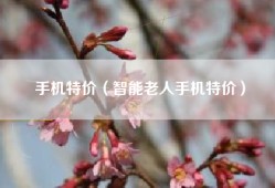 手机特价（智能老人手机特价）