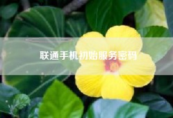 联通手机初始服务密码