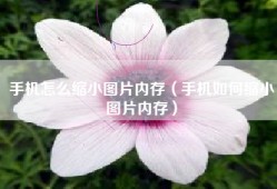手机怎么缩小图片内存（手机如何缩小图片内存）