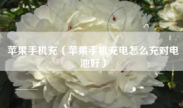 苹果手机充（苹果手机充电怎么充对电池好）