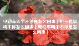 电动车叫个不停是怎么回事手机一直震动不停怎么回事「电动车叫个不停是怎么回事」