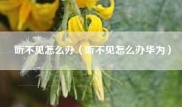 听不见怎么办（听不见怎么办华为）