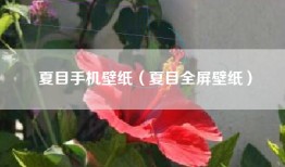 夏目手机壁纸（夏目全屏壁纸）