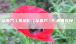 苹果六手机刷机（苹果六手机刷机教程）
