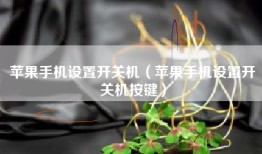 苹果手机设置开关机（苹果手机设置开关机按键）