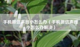 手机微信声音小怎么办（手机微信声音小怎么办解决）