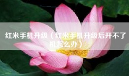 红米手机升级（红米手机升级后开不了机怎么办）