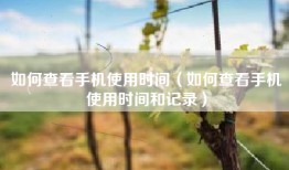 如何查看手机使用时间（如何查看手机使用时间和记录）
