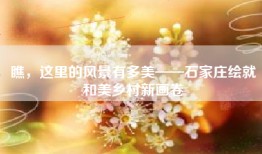 瞧，这里的风景有多美——石家庄绘就和美乡村新画卷