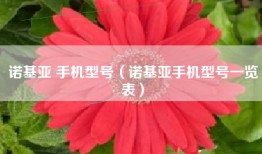 诺基亚 手机型号（诺基亚手机型号一览表）