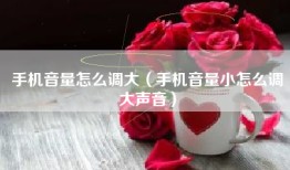 手机音量怎么调大（手机音量小怎么调大声音）