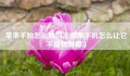 苹果手机怎么转屏（苹果手机怎么让它不旋转屏幕）