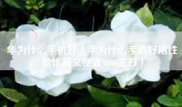 华为什么手机好（华为什么手机好用性价比高又便宜1000左右）