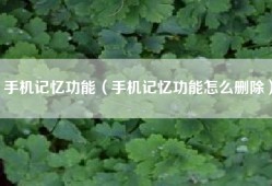手机记忆功能（手机记忆功能怎么删除）