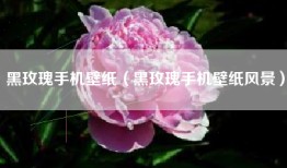 黑玫瑰手机壁纸（黑玫瑰手机壁纸风景）