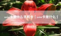 usim卡是什么手机卡「usim卡是什么」