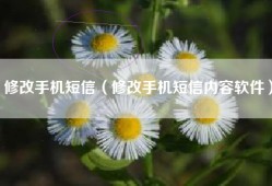 修改手机短信（修改手机短信内容软件）