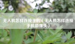 无人机怎样连接手机（无人机怎样连接手机摄像头）