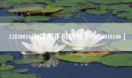 13840010100沈阳手机靓号「13840010100」