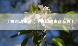 手机震动声音（手机震动声音音频）