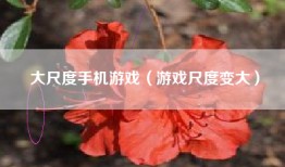 大尺度手机游戏（游戏尺度变大）