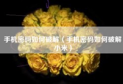 手机密码如何破解（手机密码如何破解小米）