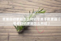 苹果自动更新怎么开启苹果手机更新「苹果自动更新怎么开启」