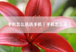 手机怎么选选手机「手机怎么选」