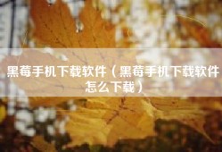 黑莓手机下载软件（黑莓手机下载软件怎么下载）