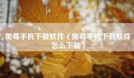 黑莓手机下载软件（黑莓手机下载软件怎么下载）