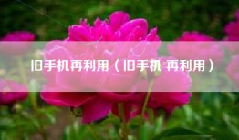 旧手机再利用（旧手机 再利用）