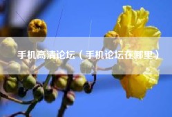 手机高清论坛（手机论坛在哪里）