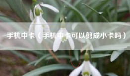手机中卡（手机中卡可以剪成小卡吗）