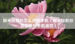极米投影仪怎么连接手机（极米投影仪怎么连接手机遥控）