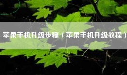 苹果手机升级步骤（苹果手机升级教程）