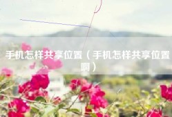 手机怎样共享位置（手机怎样共享位置啊）