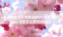 Android手机怎么使用动态ip？手机虚拟ip「Android手机怎么使用动态ip？」