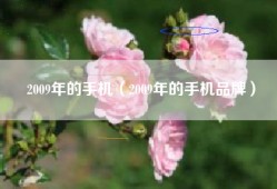 2009年的手机（2009年的手机品牌）