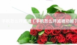 手机怎么开滤镜（手机怎么开滤镜功能）