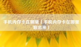 手机内存卡在哪里（手机内存卡在哪里取出来）