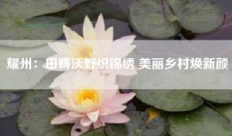 耀州：田畴沃野织锦绣 美丽乡村焕新颜