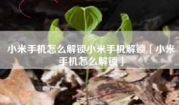 小米手机怎么解锁小米手机解锁「小米手机怎么解锁」