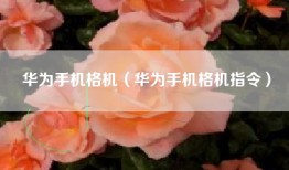 华为手机格机（华为手机格机指令）