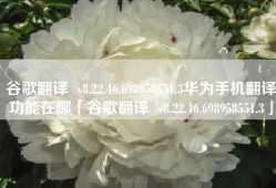 谷歌翻译  v8.22.46.698958551.3华为手机翻译功能在哪「谷歌翻译  v8.22.46.698958551.3」