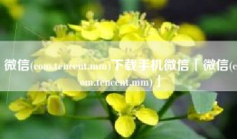 微信(com.tencent.mm)下载手机微信「微信(com.tencent.mm)」